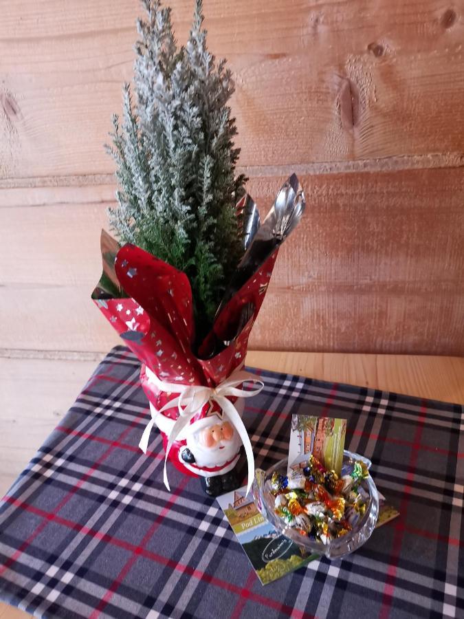 Pokoje Goscinne Pod Limbami Ciche Małe 外观 照片